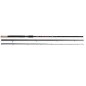 Canna da Pesca Inglese Lineaeffe RAW MATCH CARBON